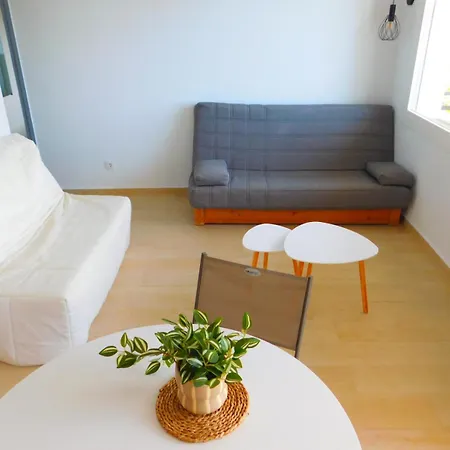 Gmid Immo A-239 Andreu Ferrer Apartment